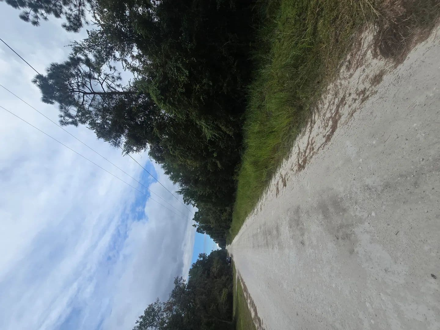 Land -Single Family Acreage in Old Town - Old Town, Florida, 326808299