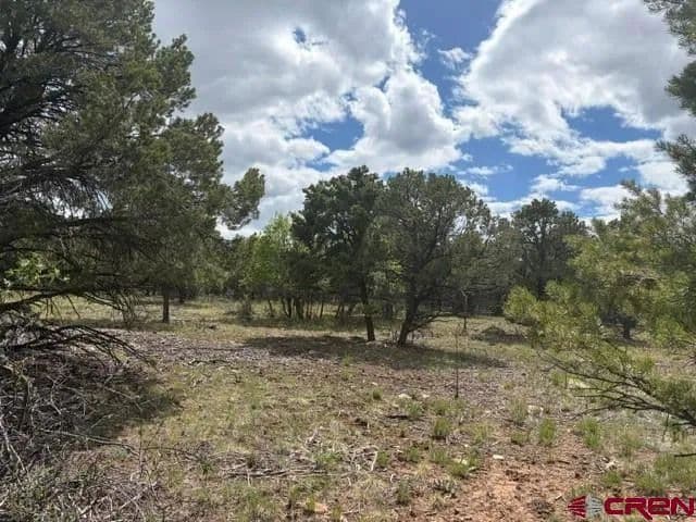 Property from Lot 4 Tower Road North - KW - Ridgway, Colorado, 81432