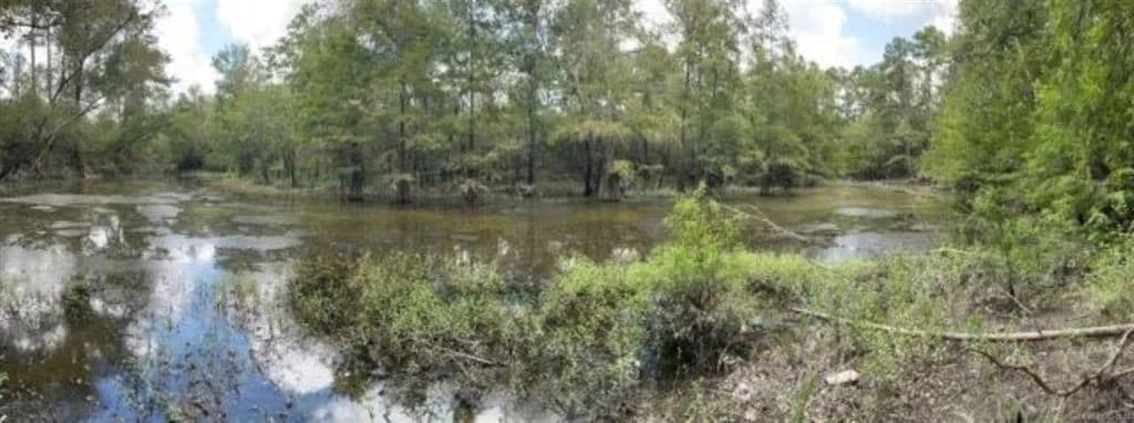 Vacant Land in Mittie - Mittie, Louisiana, 70654
