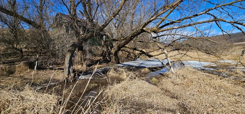 95± Acres Driftless Hunting & Recreational Land Richland County, Wisconsin