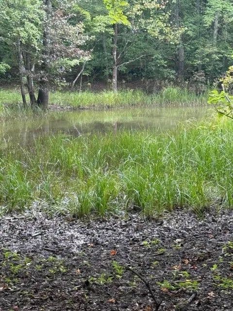 Land -Agricultural (Not Zoned) in Pikeville - Pikeville, Tennessee, 37367