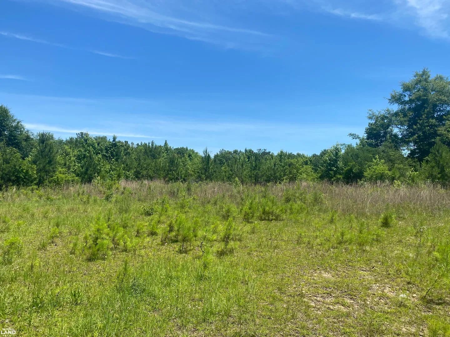 Tuskegee Commercial Lot C - Tuskegee, Alabama, 36083