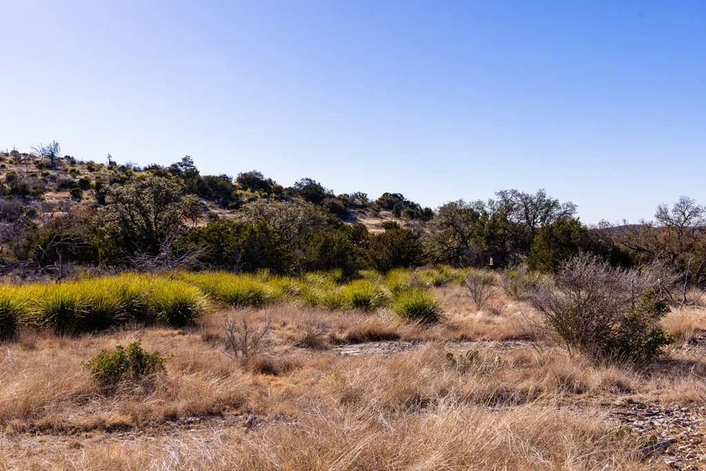 43.73 Acres of Land for Sale in Rocksprings, TX - Rocksprings, Texas, 78880