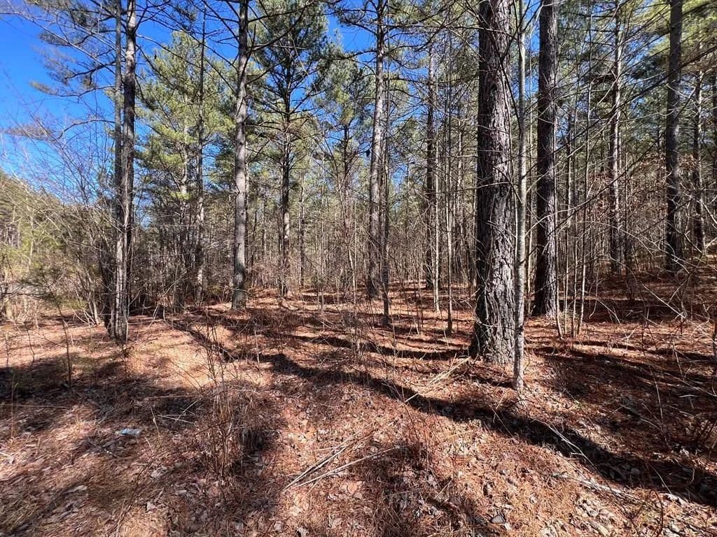 Lots & Land-Other in Blairsville - Blairsville, Georgia, 30512