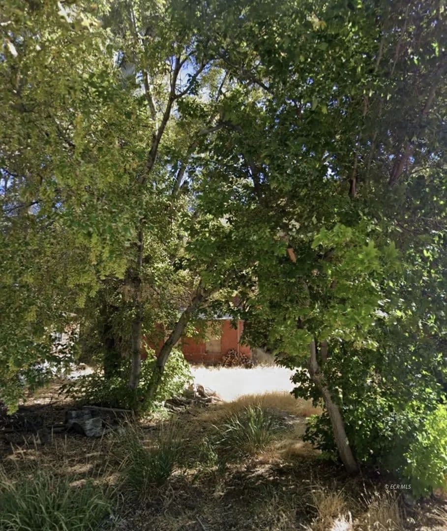 Vacant Land in Eureka - Eureka, Nevada, 89316