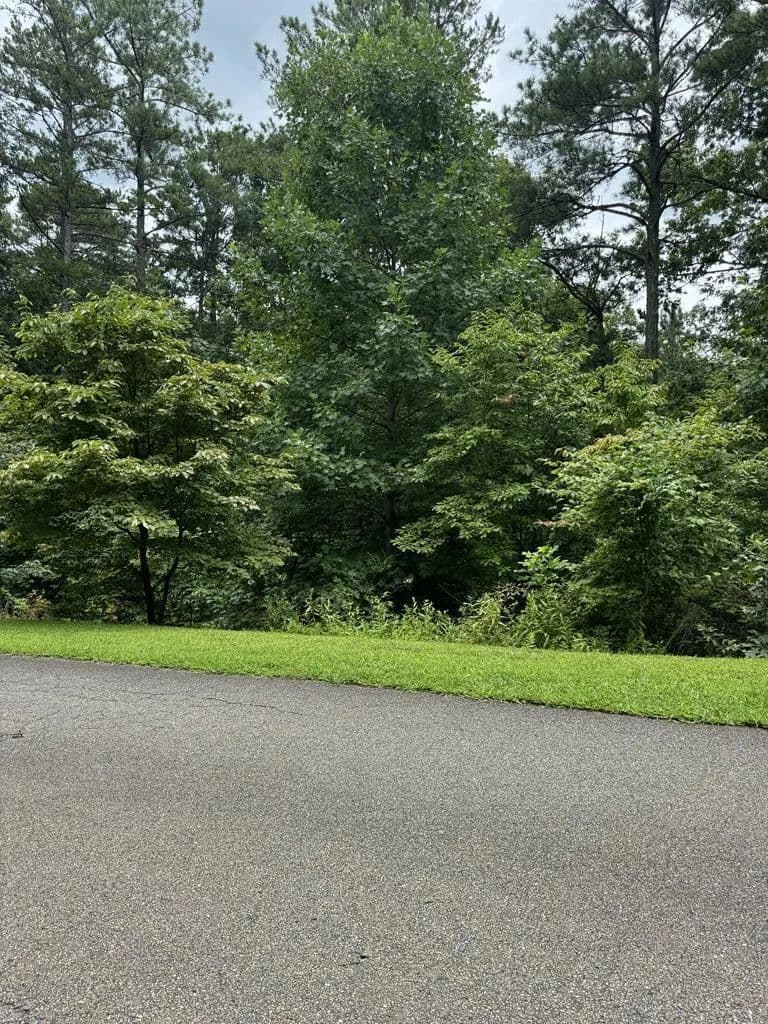Lots & Land-Other in Ellijay - Ellijay, Georgia, 30540