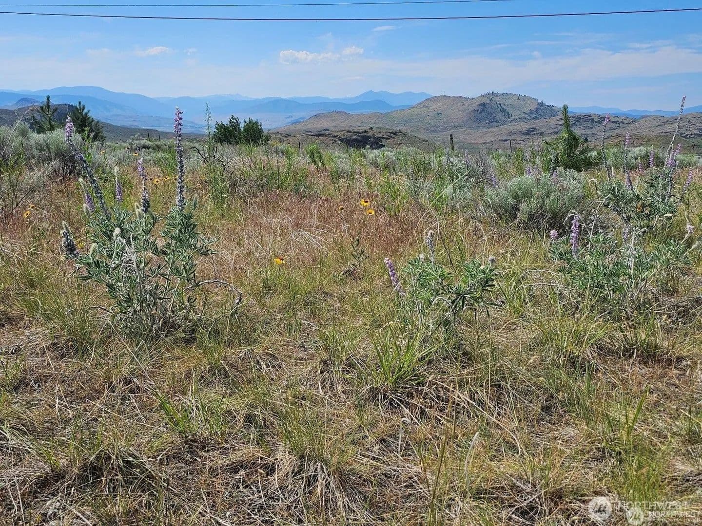 Lots & Land-Other in Tonasket - Tonasket, Washington, 98855