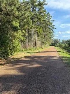Land -Agricultural (Not Zoned) in Pitkin - Pitkin, Louisiana, 70656