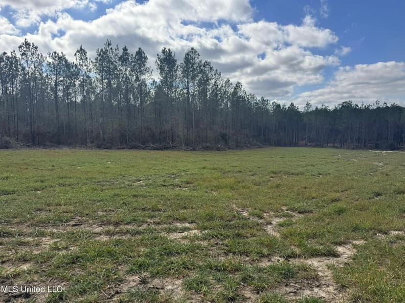 220 Acres South MS Hunting Tract with Camp/Homesite  