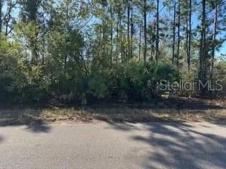 Vacant Land in Port Charlotte - Port Charlotte, Florida, 33954
