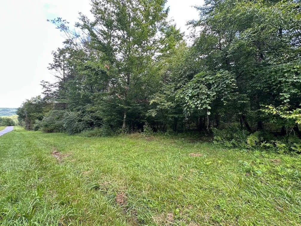 5 acre Building Lot and Recreational Land near State Land in Belmont NY Saunders Hill Rd Lot 1 - Belmont, New York, 14813
