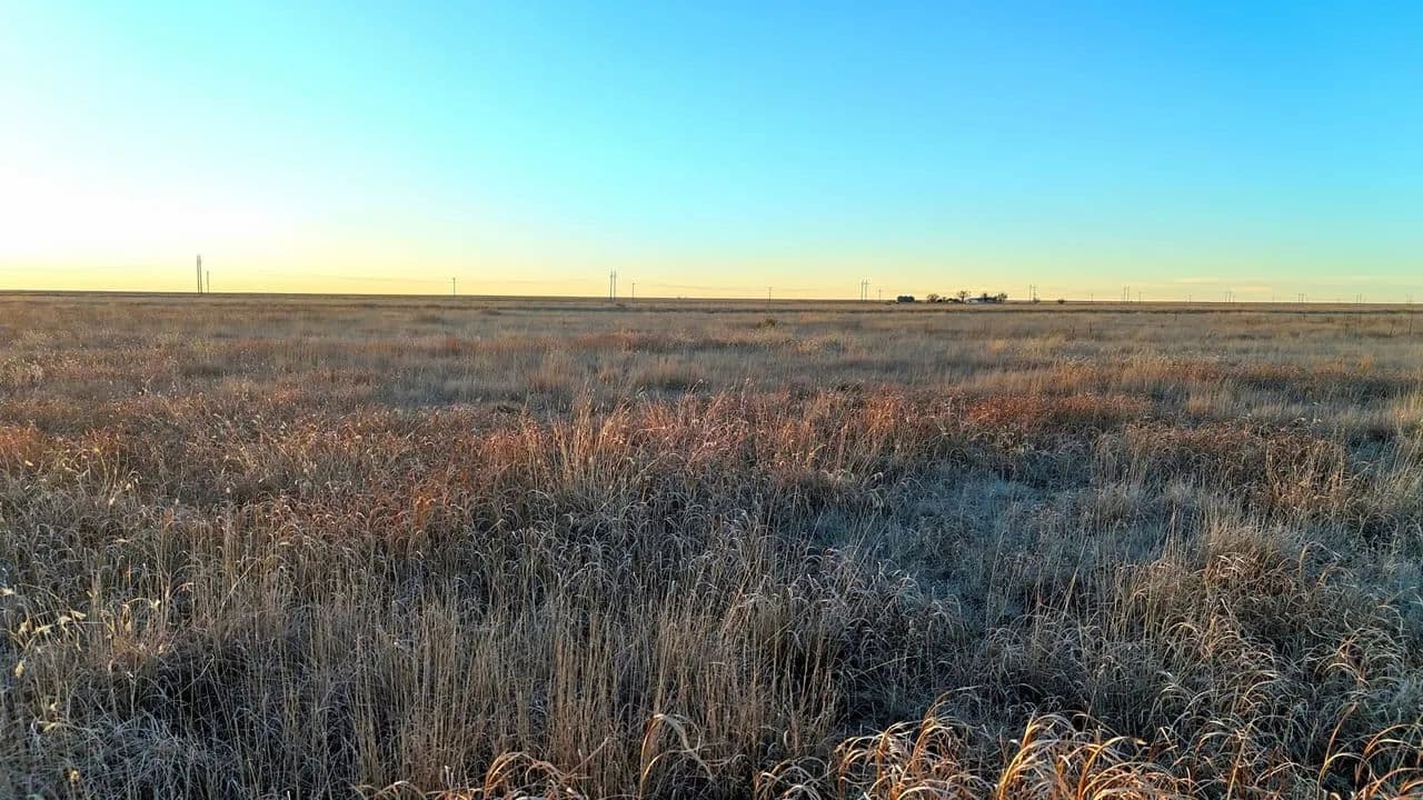 CRP Investment & Recreational Opportunity near Little Bear Creek - Holly, Colorado, 81047