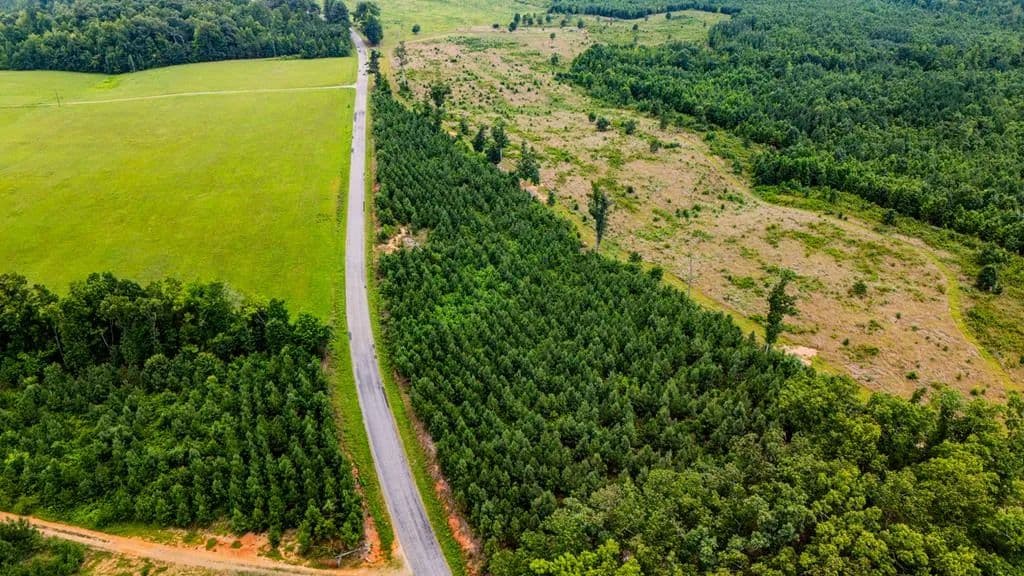 Vacant Land in Keysville - Keysville, Virginia, 23947