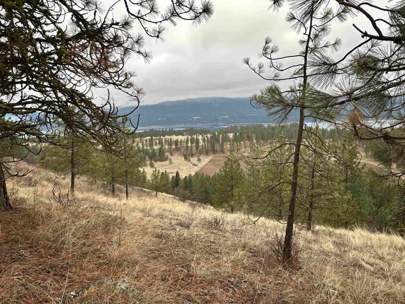 Property from 3250 Daisy Mine Rd - KW