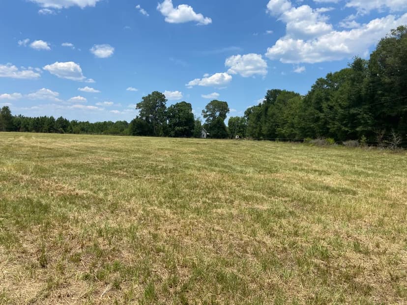 114 Acres with a Farmhouse in Emanuel County, GA 