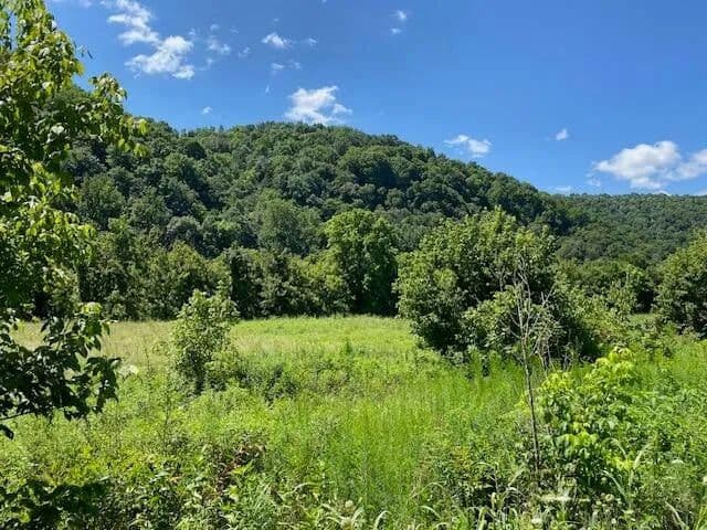 Vacant Land (10+ Acres) in Tazewell - Tazewell, Tennessee, 37879
