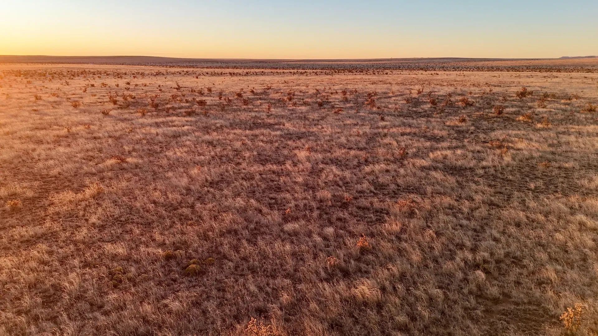 324 Acres of Land for Sale in Yeso, NM - Yeso, New Mexico, 88119