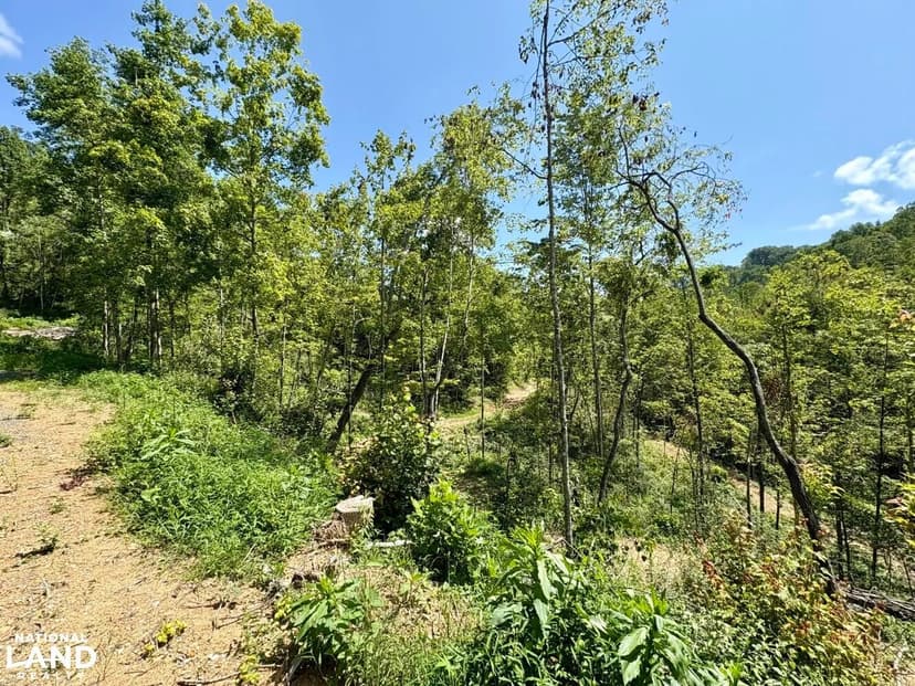 Wooded Acreage near Saint Charles