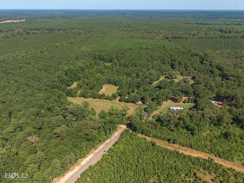 Vacant Land in Plain Dealing - Plain Dealing, Louisiana, 71064