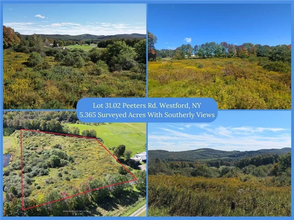 5.37 Acres of Land for Sale in Schenevus, NY - Schenevus, New York, 12155