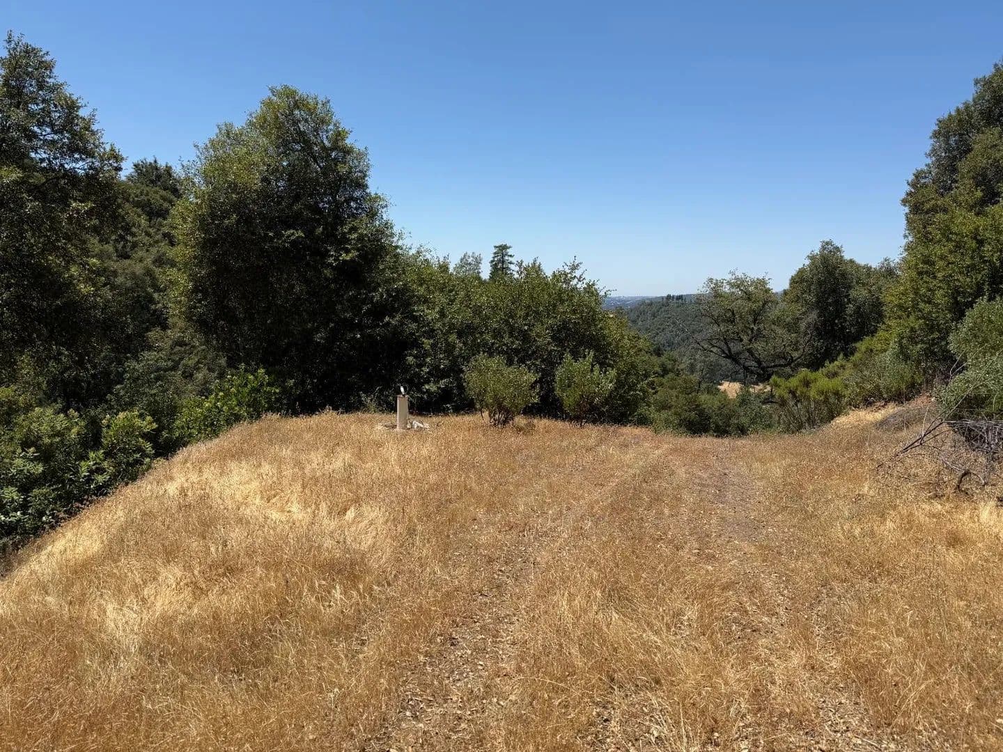 Property from 5068 Pappalardo Promenade - KW - Murphys, California, 95247