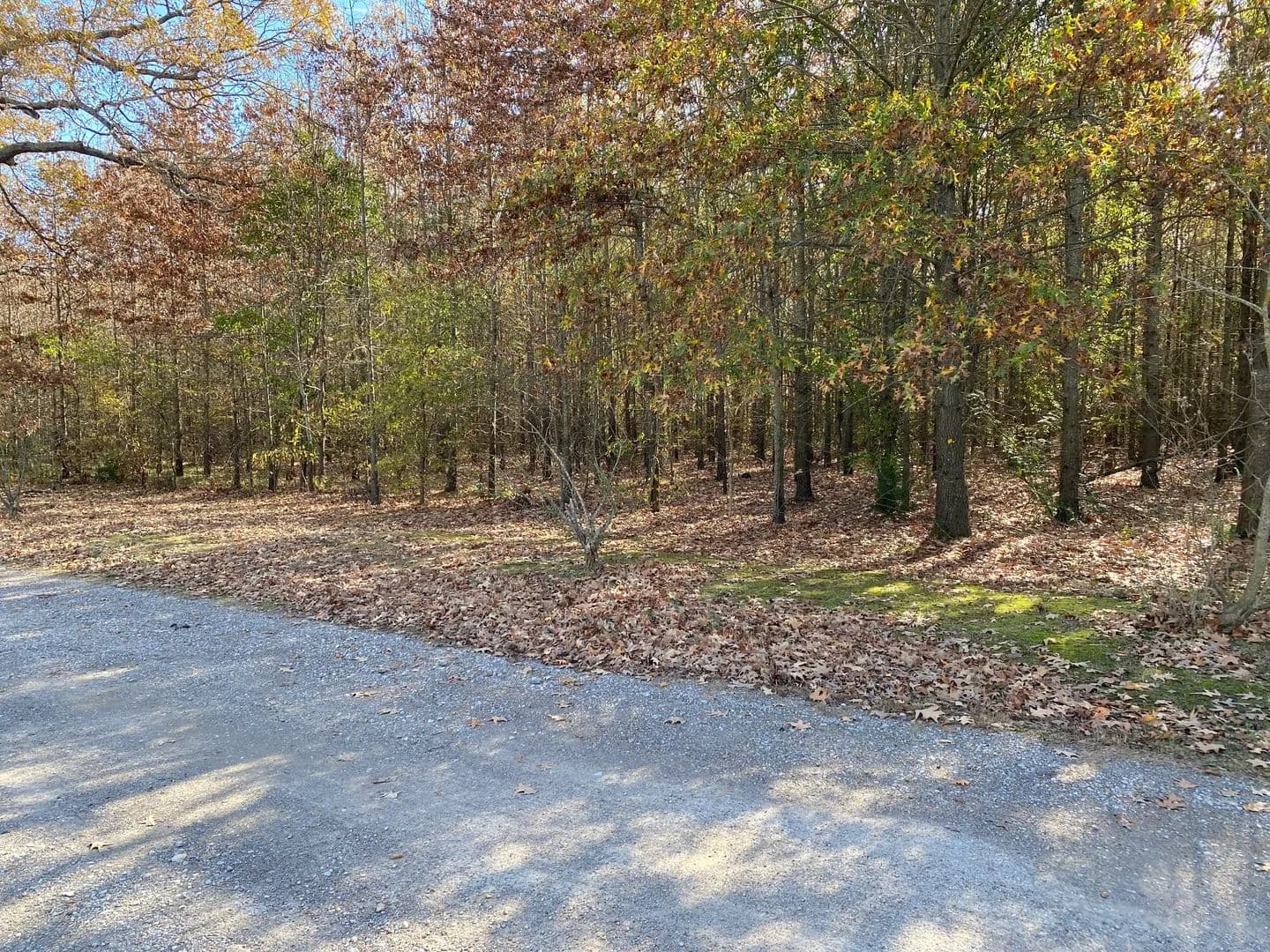 Land -Agricultural (Not Zoned) in Fisher - Fisher, Arkansas, 72429