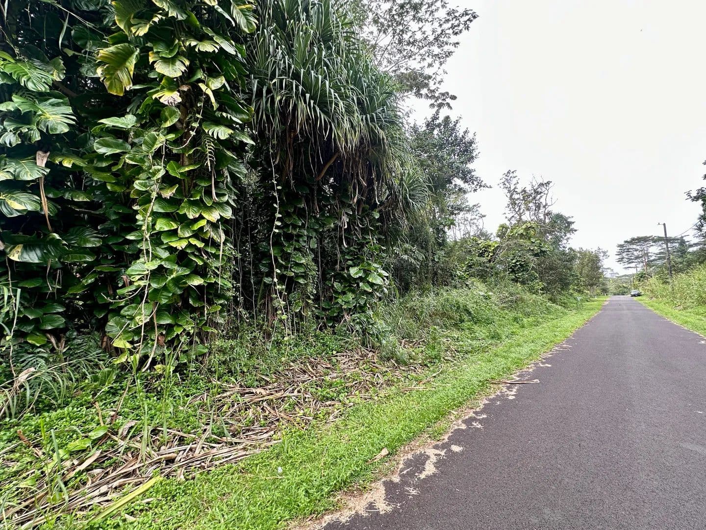 Lots & Land-Other in Pahoa - Pahoa, Hawaii, 96778