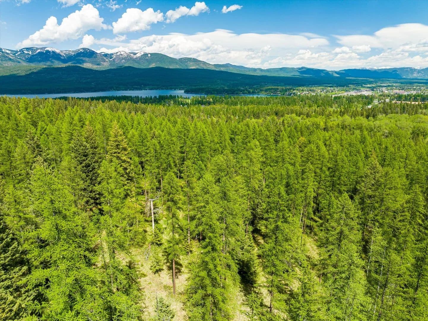 Property from 1340 Lion Mountain Drive - KW - Whitefish, Montana, 59937