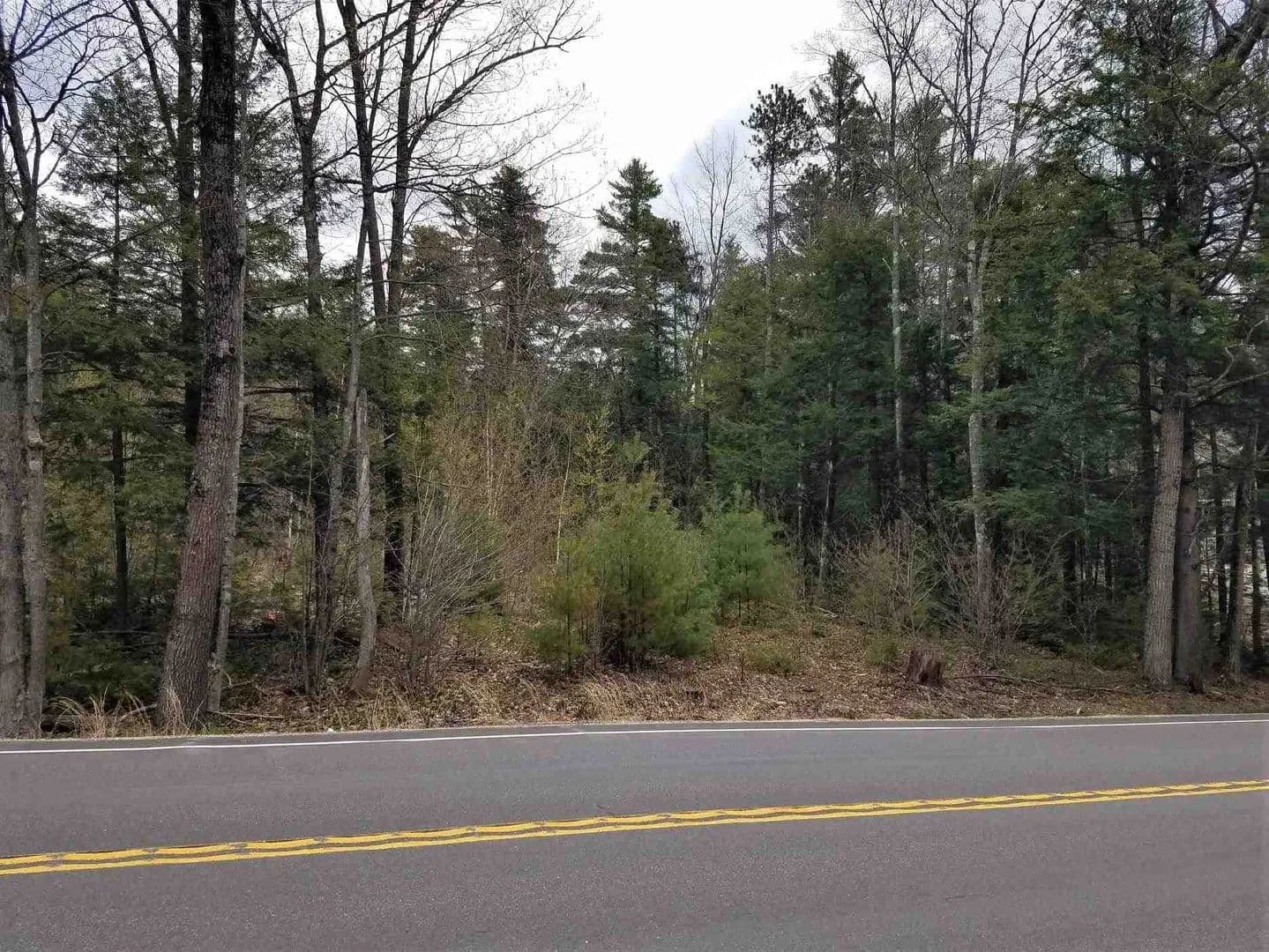 Vacant Land in Wolfeboro - Wolfeboro, New Hampshire, 03894