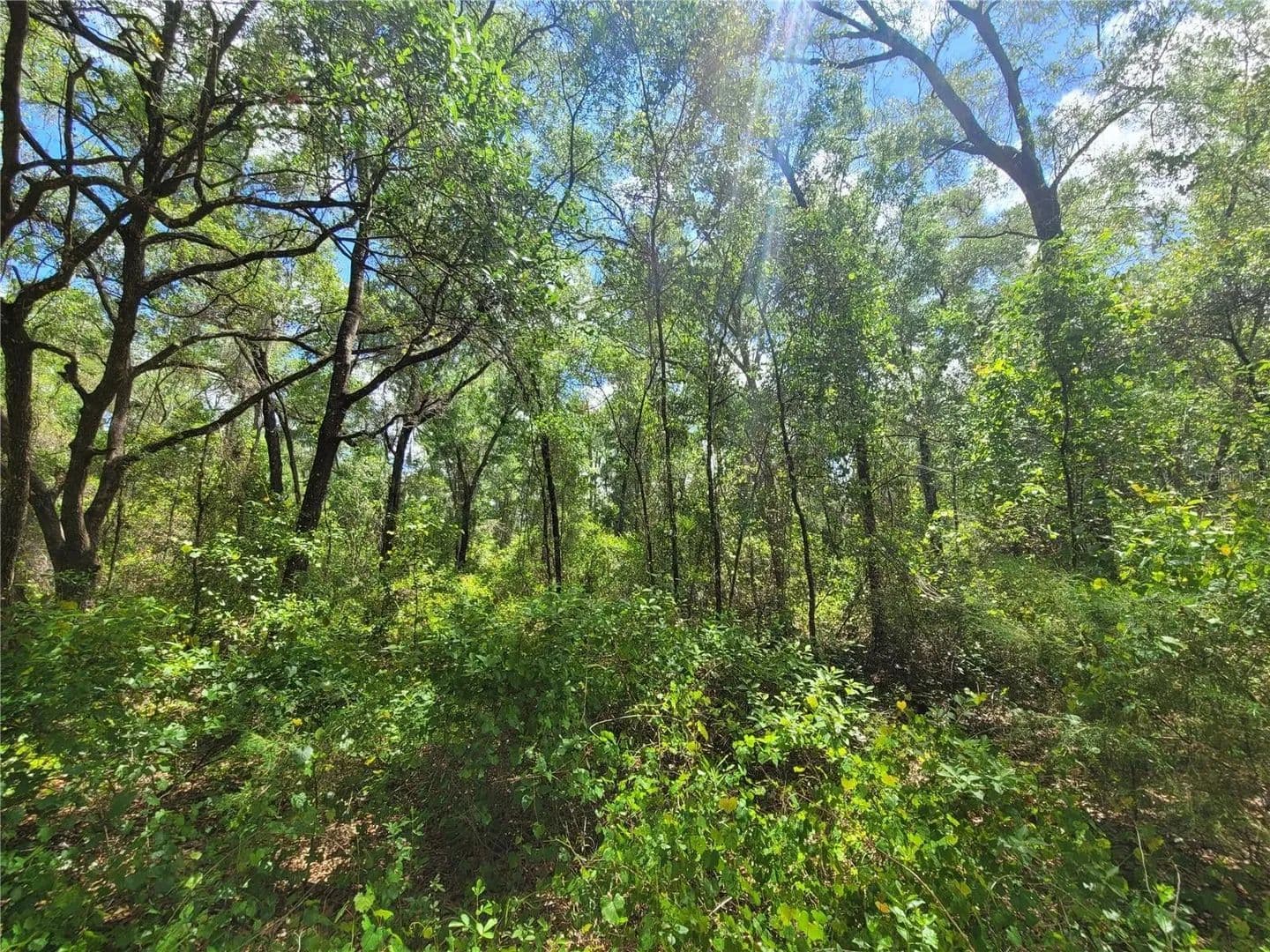 Lots & Land-Other in INVERNESS - Inverness, Florida, 34453