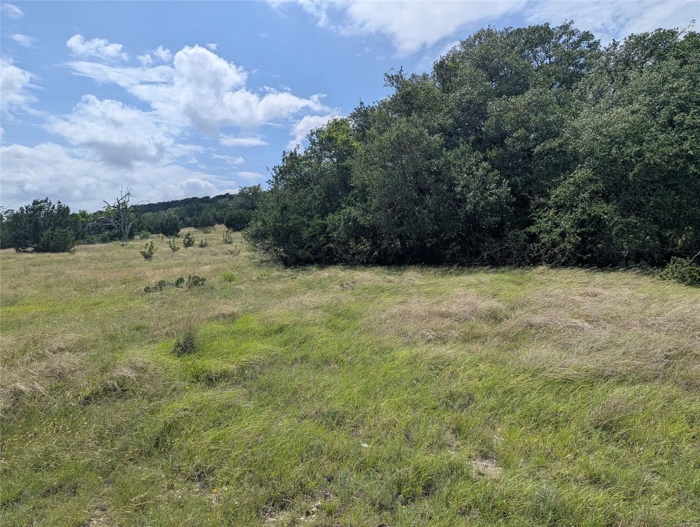 Vacant Land in Kempner - Kempner, Texas, 76539