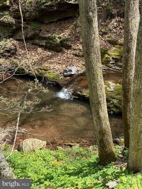 56.7 Acres of Land for Sale in Seneca Rocks, West Virginia - Seneca Rocks, West Virginia, 26884