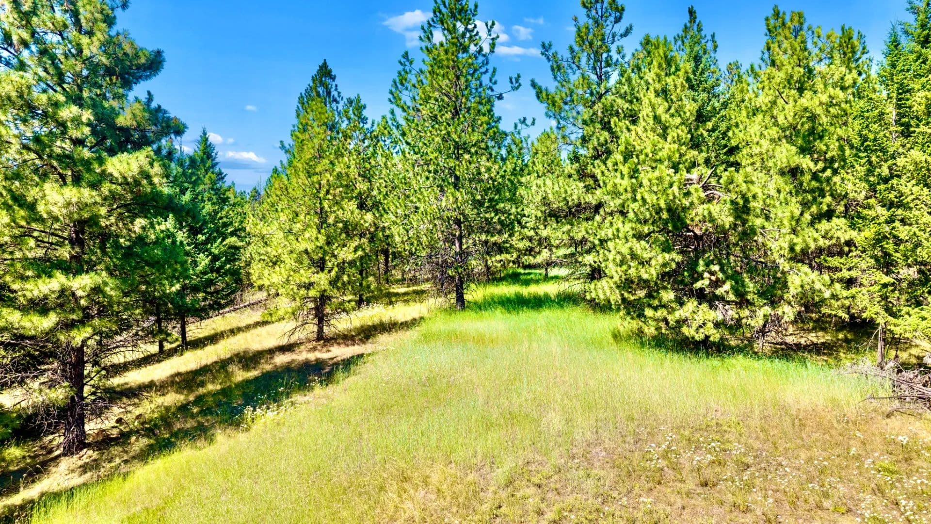 Inviting Mountain-Framed Acreage - Eureka, Montana, 59917
