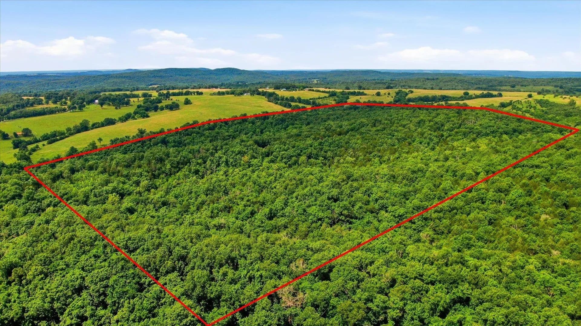 83 Acres of Land for Sale in Bradleyville, MO - Bradleyville, Missouri, 65614