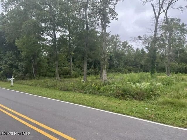 Vacant Land in Newport - Newport, North Carolina, 28570