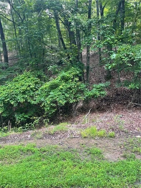 Vacant Land in Waleska - Waleska, Georgia, 30183