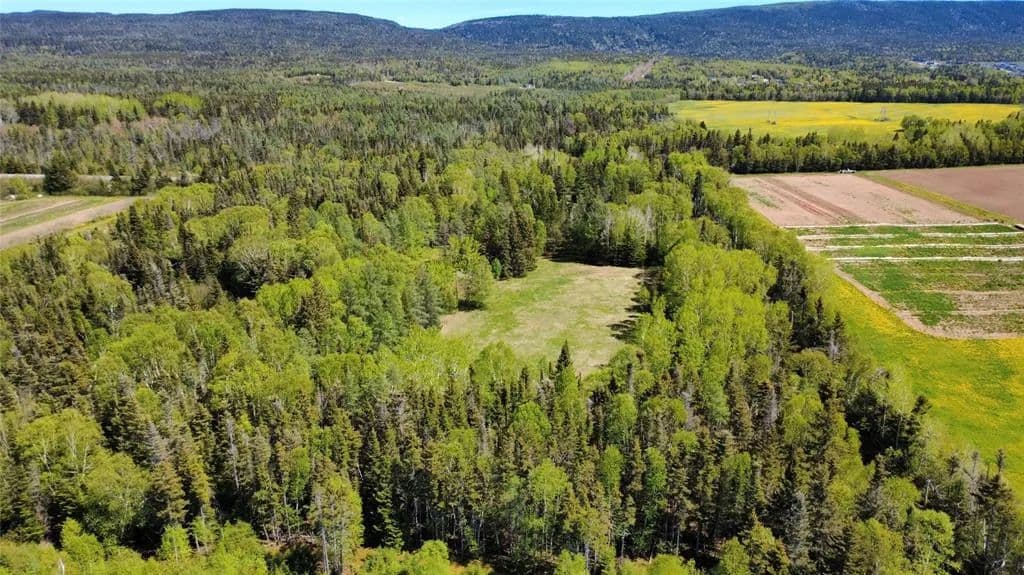 Land for Sale in PASADENA, NL - land for sale