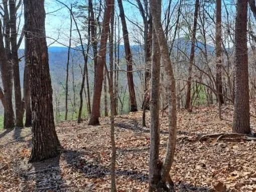 Lots & Land-Other in Jasper - Jasper, Georgia, 30143