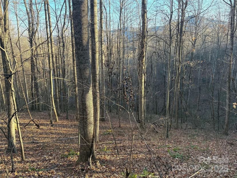Property from 28 Cadillac Pointe - KW