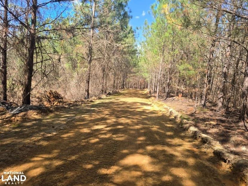 Centreville Hwy 82 Home Sites - Timber - Hunting