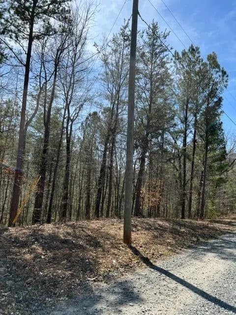 Lots & Land-Other in Ellijay - Ellijay, Georgia, 30540