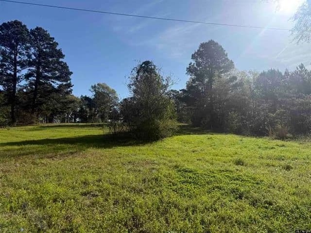 Vacant Land (0-10 Acres) in Tyler - Tyler, Texas, 75705