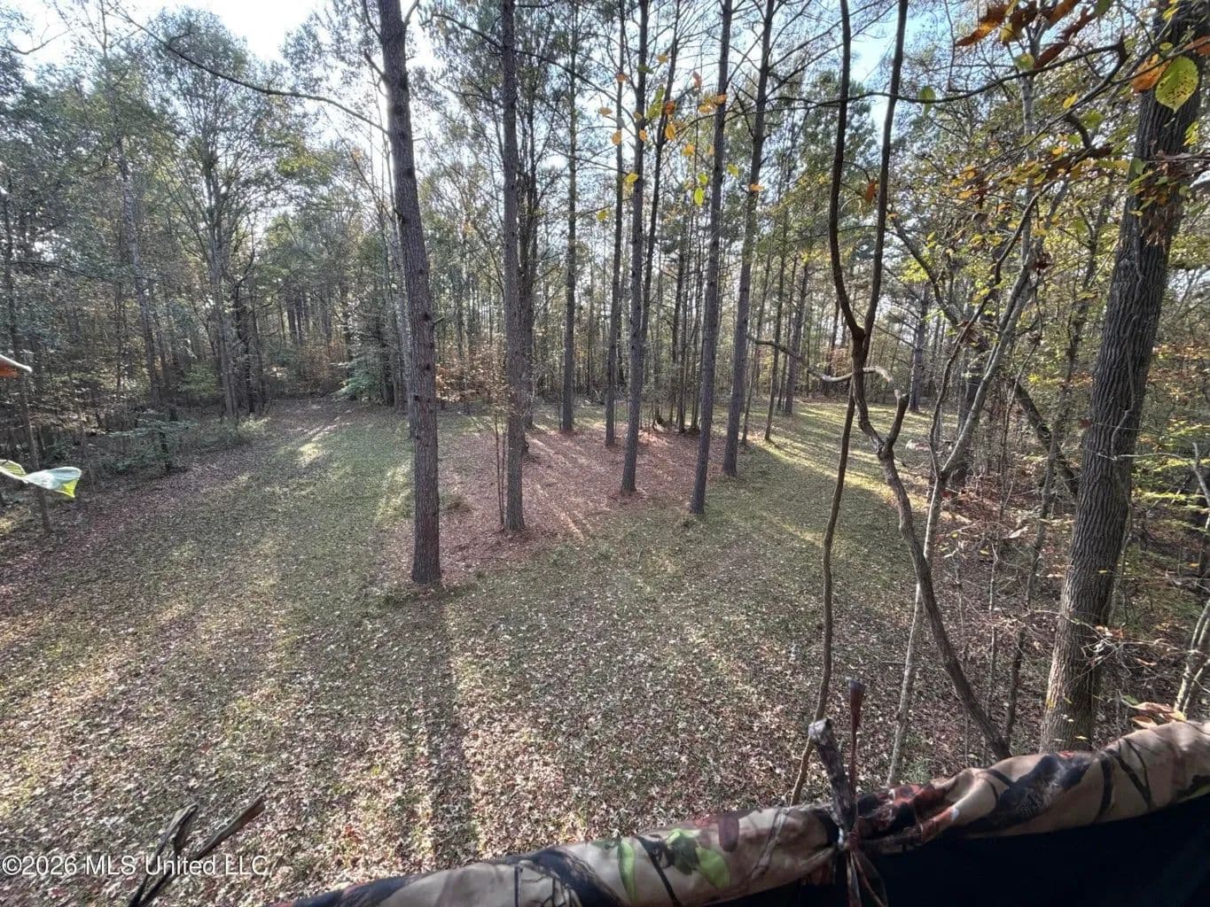 98± Acres in Natchez, MS on Second Creek - Roxie, Mississippi, 39661