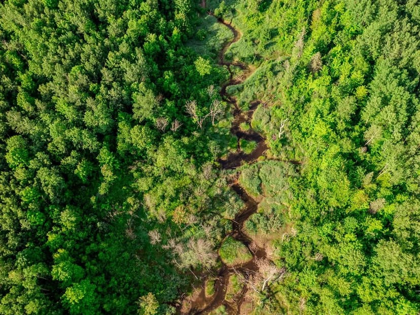 Property from 30659 Townline #Lot 7 - KW