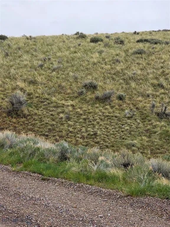 Land -Agricultural (Not Zoned) in Dillon - Dillon, Montana, 59725