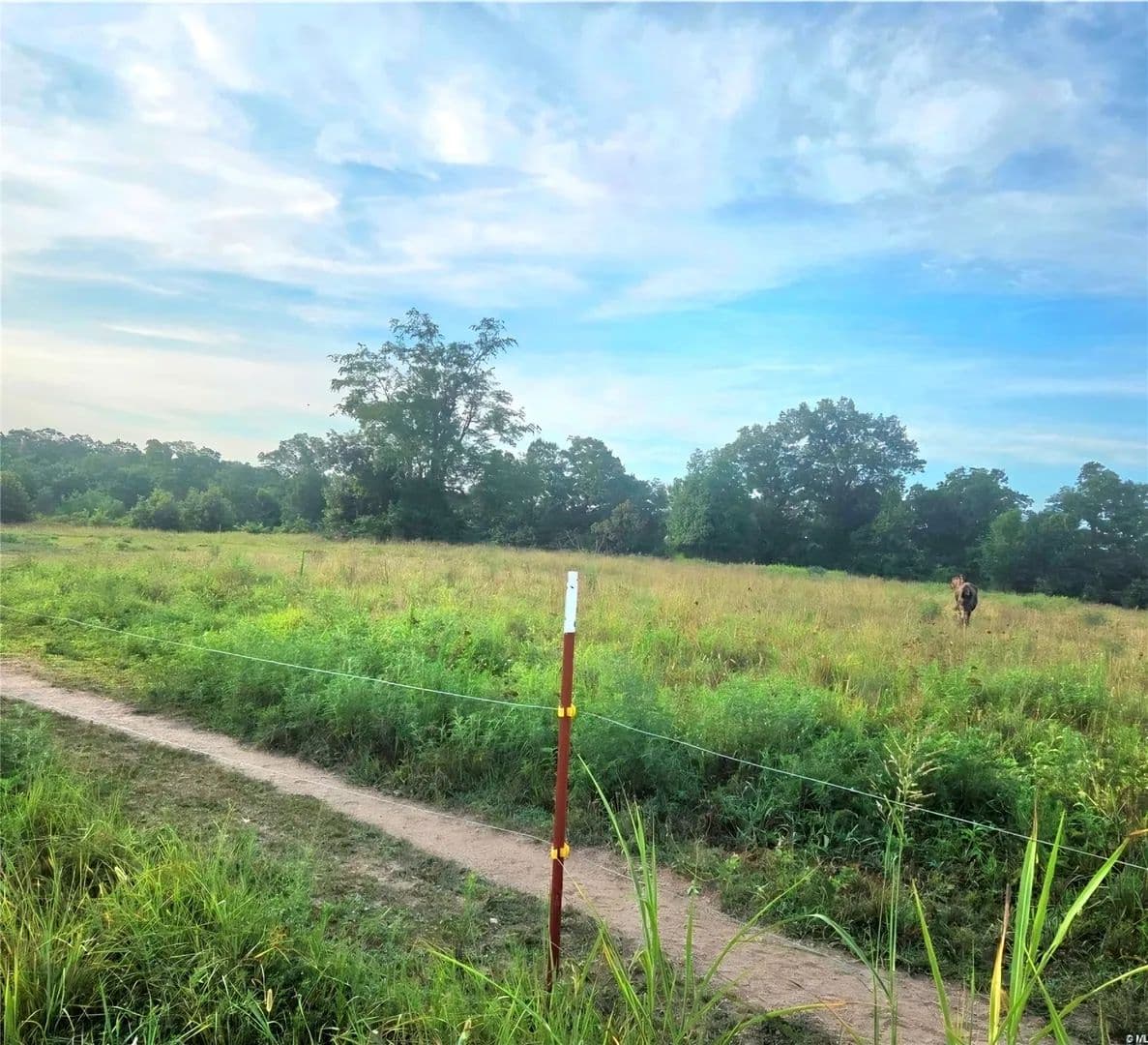 2 Acres of Land for Sale in Westville, OK - Westville, Oklahoma, 74965