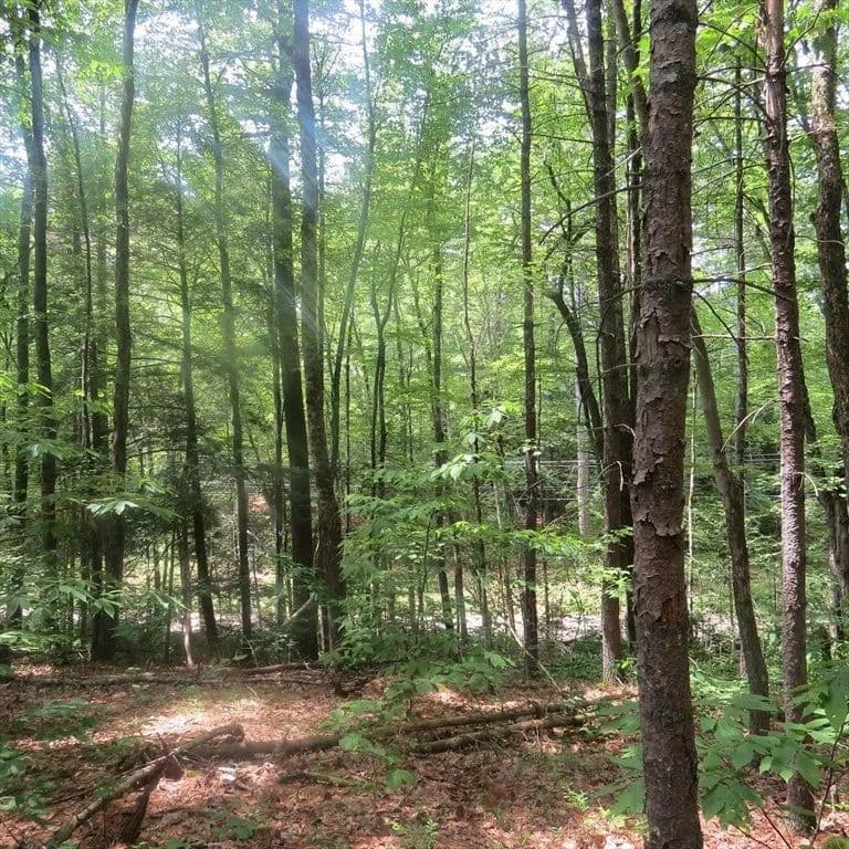 Lots & Land-Other in Leverett - Leverett, Massachusetts, 01054