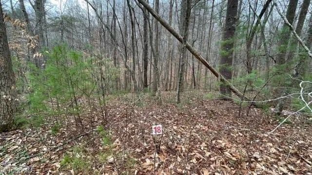 Vacant Land in Stuart - Stuart, Virginia, 24171
