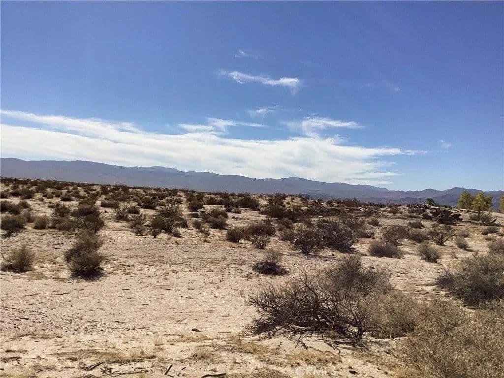 Lots & Land-Other in Newberry Springs - Newberry Springs, California, 92365