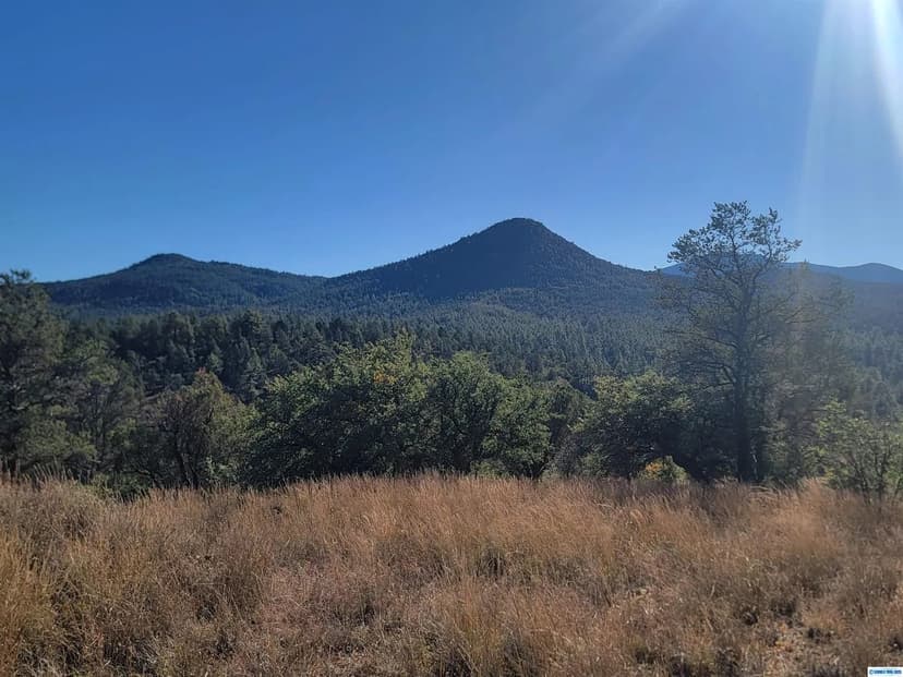 Vacant Land in Silver City